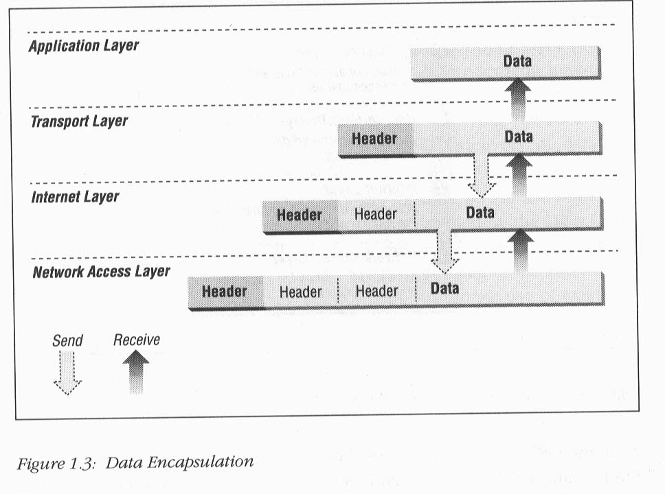 CIS 5406 Lecture Notes 13 TCP/IP and Routing